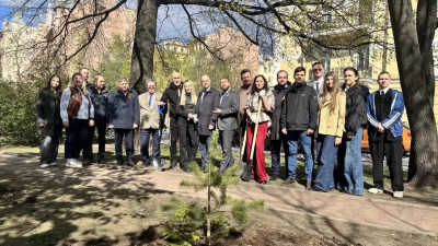 В Петербурге высадили Транспортную аллею рядом с дубом 1945 года