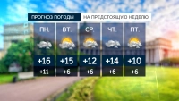 Днем 3 мая в Петербурге ожидается +15: похожая погода продержится до середины недели