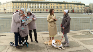 Гостеприимный Петербург
