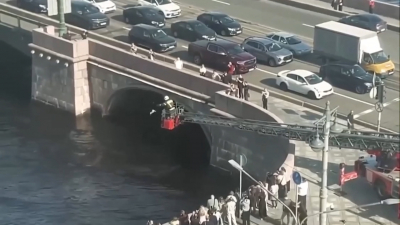 На Сампсониевском мосту спасали чайку, запутавшуюся в леске