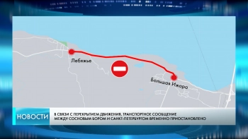 Транспортное сообщение Сосновый Бор — Петербург приостановлено