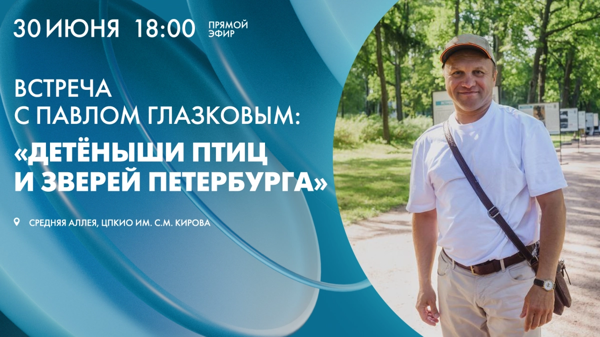 Встреча с Павлом Глазковым: «Детёныши птиц и зверей Петербурга». Смотрите завтра в 18:00 - tvspb.ru