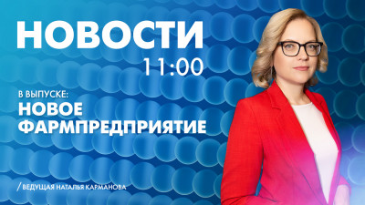 Новости Петербурга к 11:00