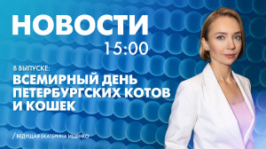 Новости Петербурга к 15:00