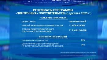 Фонд содействия кредитованию МСП Петербурга выдал 306 млн рублей в виде «зонтичных» поручительств