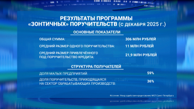 Фонд содействия кредитованию МСП Петербурга выдал 306 млн рублей в виде «зонтичных» поручительств