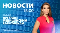 Новости Петербурга к 18:00