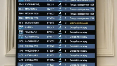 В Пулково начали выводить на табло информацию о питании при задержке рейсов