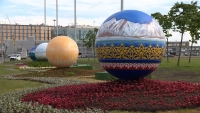 У аэропорта Пулково высадили 50 тысяч цветов