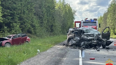 Полиция организовала проверку по факту ДТП с погибшими детьми в Ленобласти