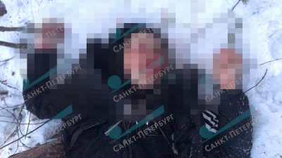 49-летний мужчина получил 6 лет колонии за смертельную драку под Выборгом
