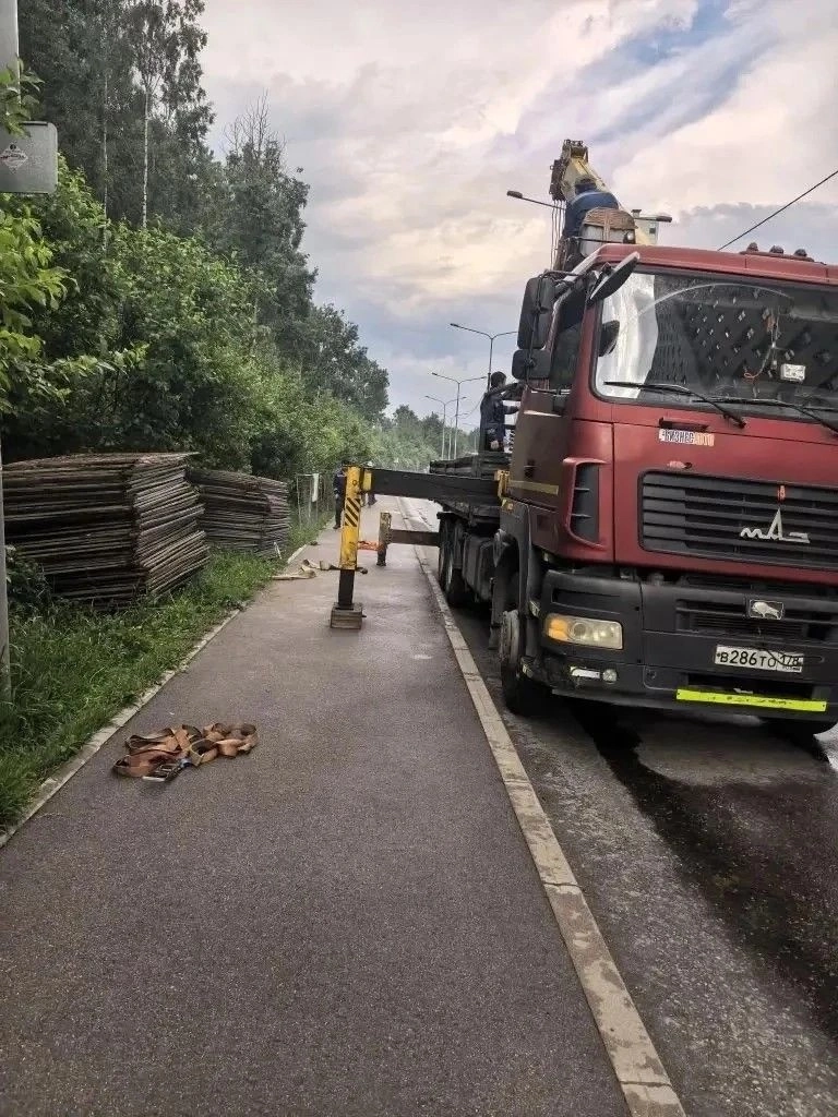 В Петербурге началась санитарная очистка леса под благоустройство Пейзажного парка - tvspb.ru