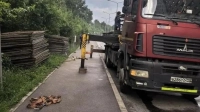 В Петербурге началась санитарная очистка леса под благоустройство Пейзажного парка