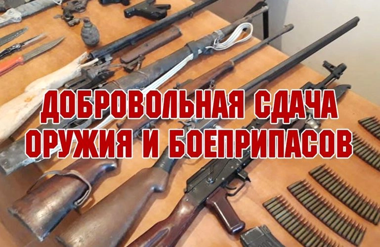 Петербуржцам напомнили, что они могут добровольно сдать незаконно хранящееся оружие - tvspb.ru