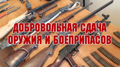 Петербуржцам напомнили, что они могут добровольно сдать незаконно хранящееся оружие