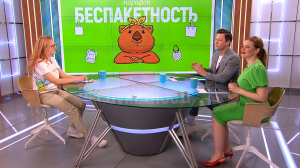 Носите сумку с собой по примеру вомбатушки Глаши: экологический марафон «Беспакетность» стартует в Петербурге