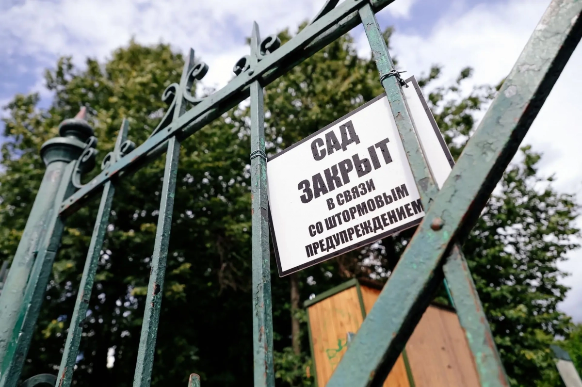 Петербуржцам советуют переждать грозу дома, парки и сады закрыли из-за ветра - tvspb.ru