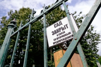 Петербуржцам советуют переждать грозу дома, парки и сады закрыли из-за ветра