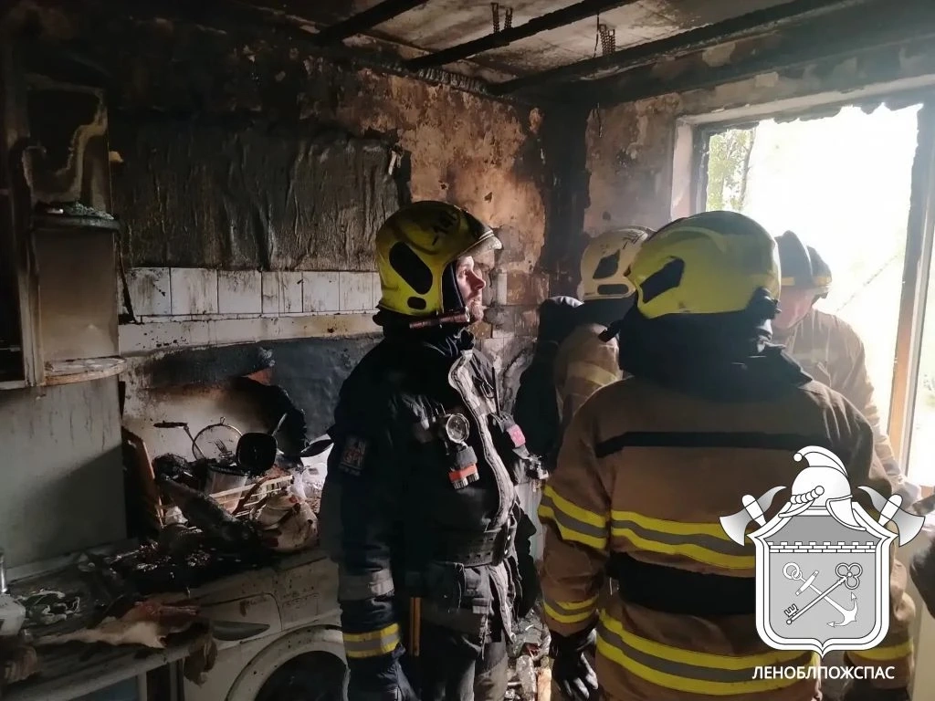 Из горящей квартиры в Сертолово спасли 7 человек, включая детей - tvspb.ru