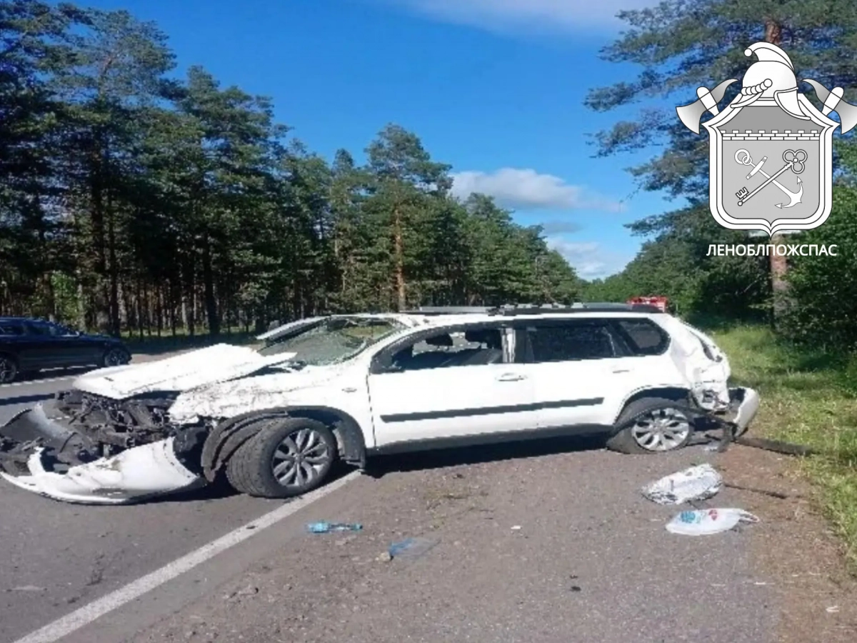 Смертельное ДТП в Приозерском районе: водитель погиб, съехав в кювет - tvspb.ru