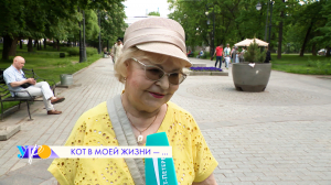 Какую роль в жизни петербуржцев играют коты и кошки?