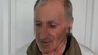 Суд не арестовал петербуржца, спалившего пять машин из мести за сбитого кота