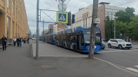На проспекте Медиков упавшее на провода дерево остановило троллейбусы