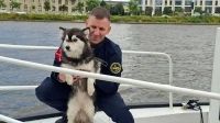 На Неве спасали собаку Лею, сбежавшую с Ладожского вокзала