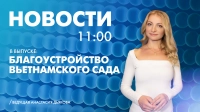 Новости Петербурга к 11:00