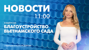 Новости Петербурга к 11:00