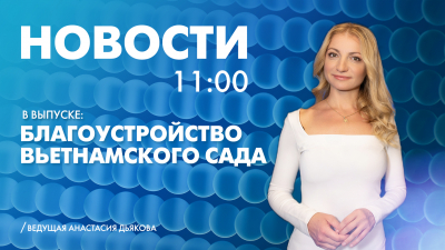 Новости Петербурга к 11:00