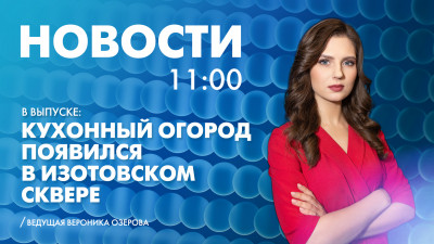 Новости Петербурга к 11:00