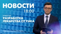 Новости Петербурга к 18:00