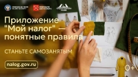 Управление ФНС России по Санкт-Петербургу разъясняет особенности  применения НПД