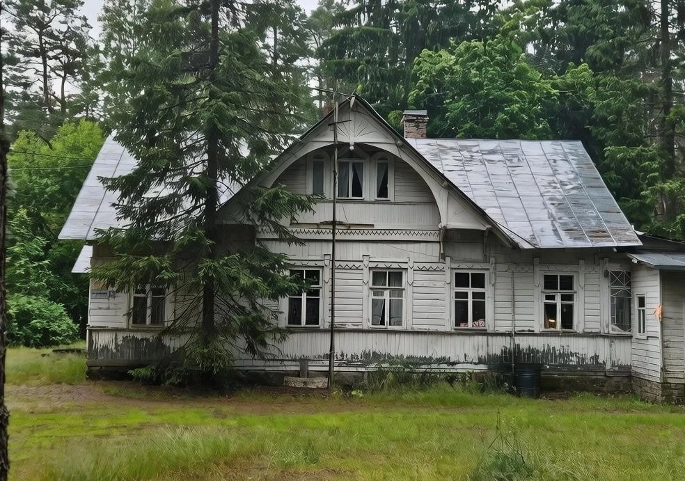 Деревянный дом Романова в Ушково может стать объектом культурного наследия - tvspb.ru