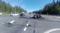 Полиция возбудила уголовное дело после ДТП на трассе Петербург – Псков, водитель задержан
