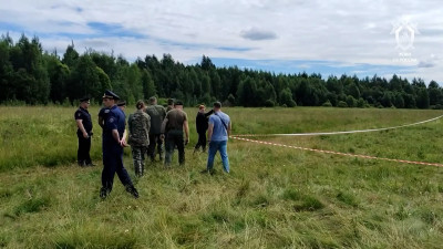 Как в Ленобласти расследуют дело об убийстве 12-летней девочки, ушедшей в лес за грибами
