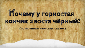 «Почему у горностая кончик хвоста черный?»