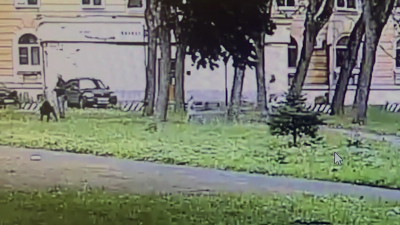 В Петербурге возбудили дело после нападения бойцовской собаки на пятилетнюю девочку