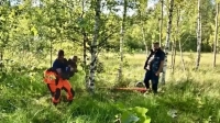 Под Петербургом спасли мужчину и ребёнка, застрявших на квадроцикле в болоте