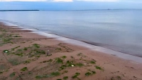 Росприроднадзор объяснил необычный цвет воды у пляжа «Ласковый»