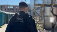 Рейд в Выборгском районе — 457 человек проверили, найдены — 23 мигранта-нелегала