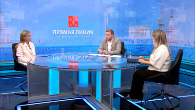 Сергей Кропачев рассказал, как Петербург справляется с непогодой
