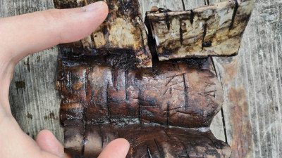 Послать ябетника на Гозу: в Великом Новгороде нашли девять берестяных грамот
