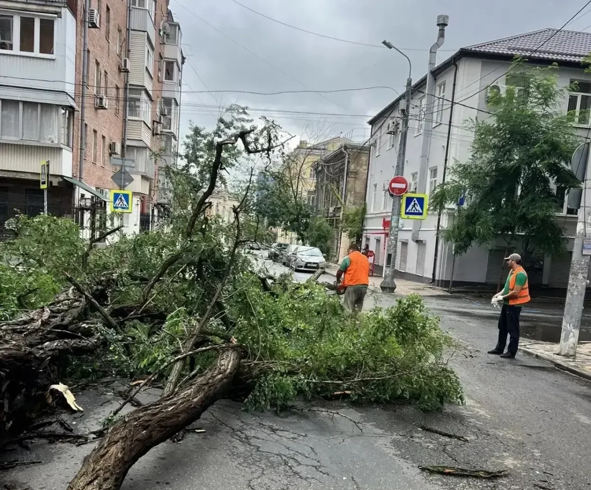Режим ЧС в Ростове-на-Дону: более тысячи деревьев повалено, пострадали 28 человек - tvspb.ru