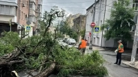 Режим ЧС в Ростове-на-Дону: более тысячи деревьев повалено, пострадали 28 человек