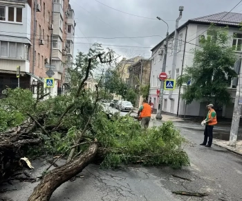 Режим ЧС в Ростове-на-Дону: более тысячи деревьев повалено, пострадали 28 человек