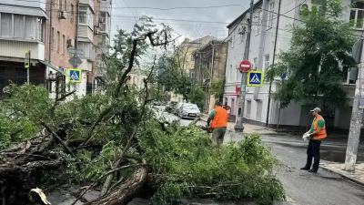 Режим ЧС в Ростове-на-Дону: более тысячи деревьев повалено, пострадали 28 человек