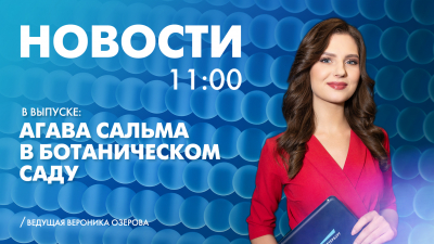 Новости Петербурга к 11:00