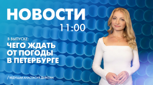 Новости Петербурга к 11:00